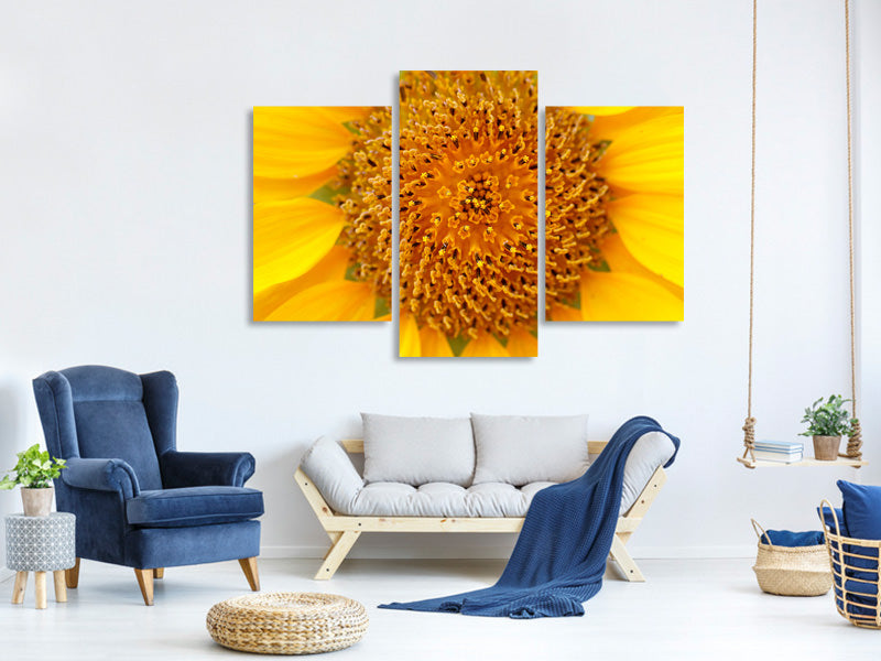 modern-3-piece-canvas-print-beautiful-buds-of-the-sunflower