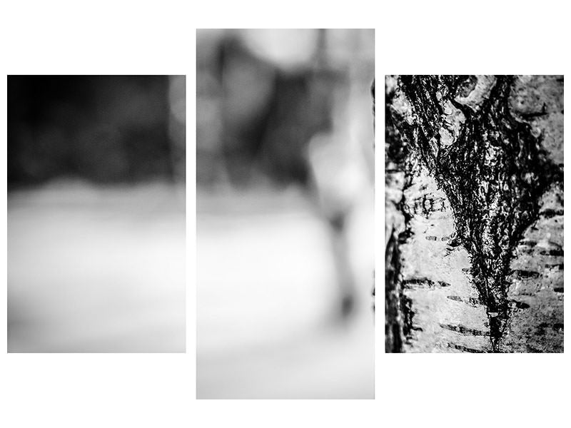 modern-3-piece-canvas-print-birch-trunk