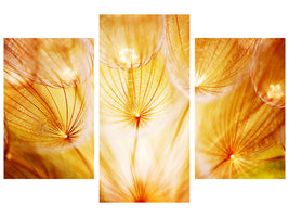 modern-3-piece-canvas-print-close-up-dandelion-in-light