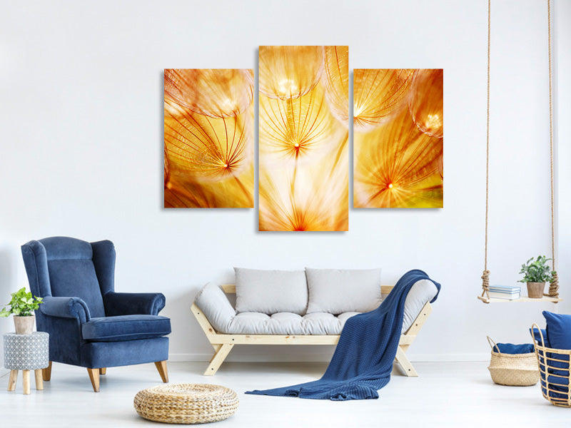 modern-3-piece-canvas-print-close-up-dandelion-in-light