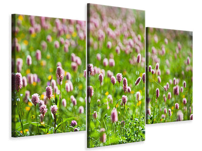 modern-3-piece-canvas-print-clover