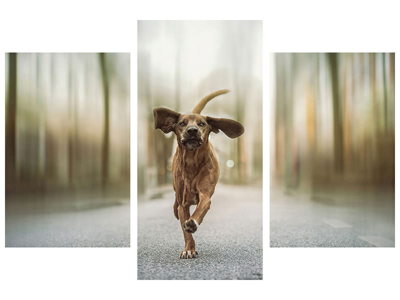 modern-3-piece-canvas-print-dancing-in-the-streets