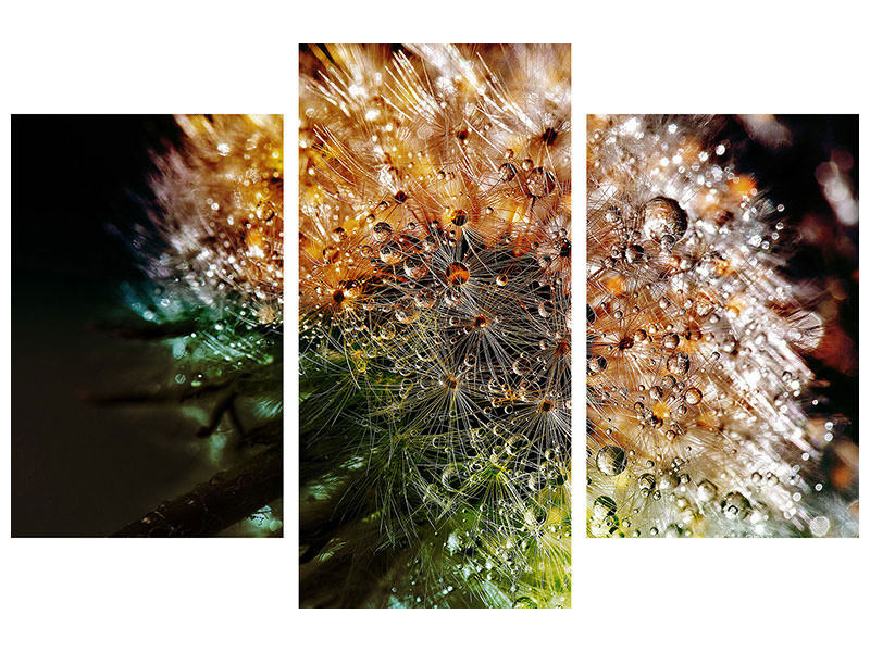 modern-3-piece-canvas-print-dandelion-in-the-morning-dew