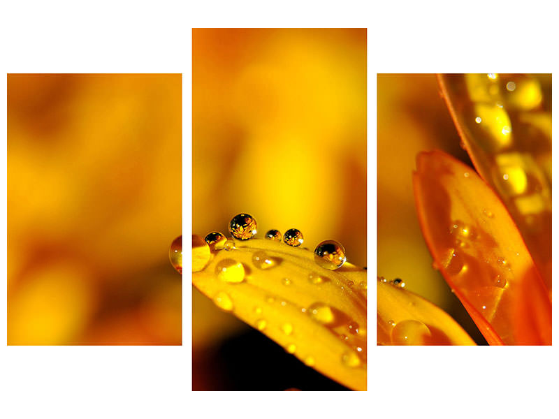 modern-3-piece-canvas-print-drops-close-up