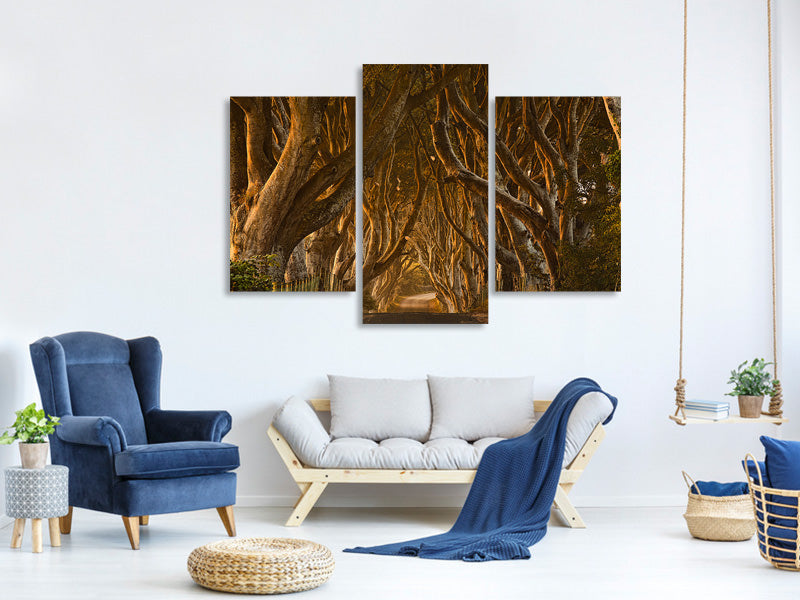 modern-3-piece-canvas-print-early-morning-dark-hedges