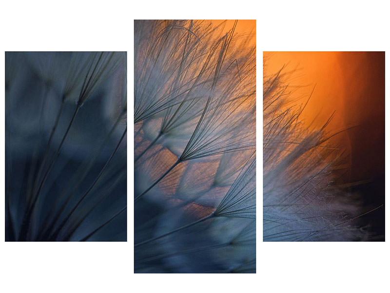 modern-3-piece-canvas-print-feathers-p