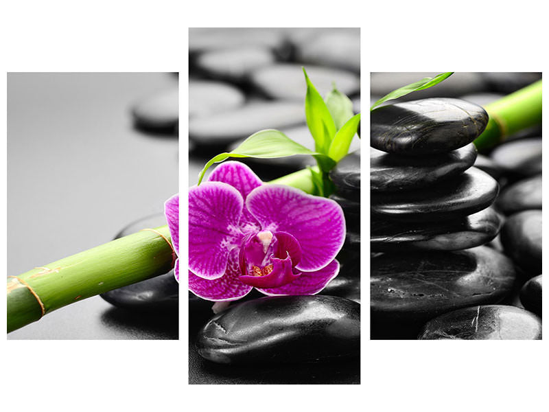 modern-3-piece-canvas-print-feng-shui-orchid