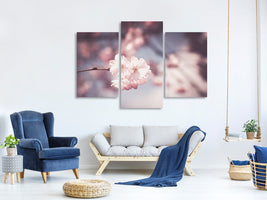 modern-3-piece-canvas-print-flower-xl