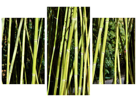 modern-3-piece-canvas-print-fresh-bamboo