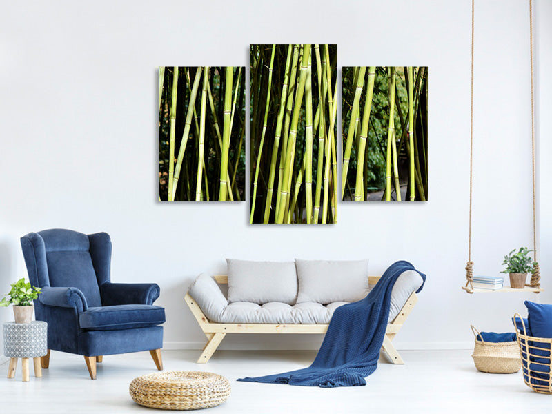 modern-3-piece-canvas-print-fresh-bamboo