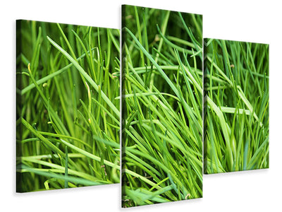 modern-3-piece-canvas-print-fresh-chives-xl