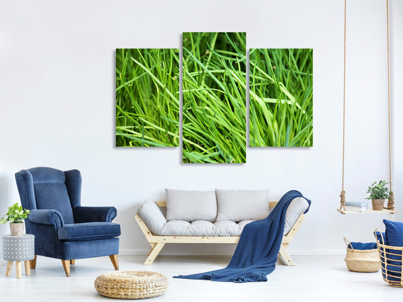 modern-3-piece-canvas-print-fresh-chives-xl