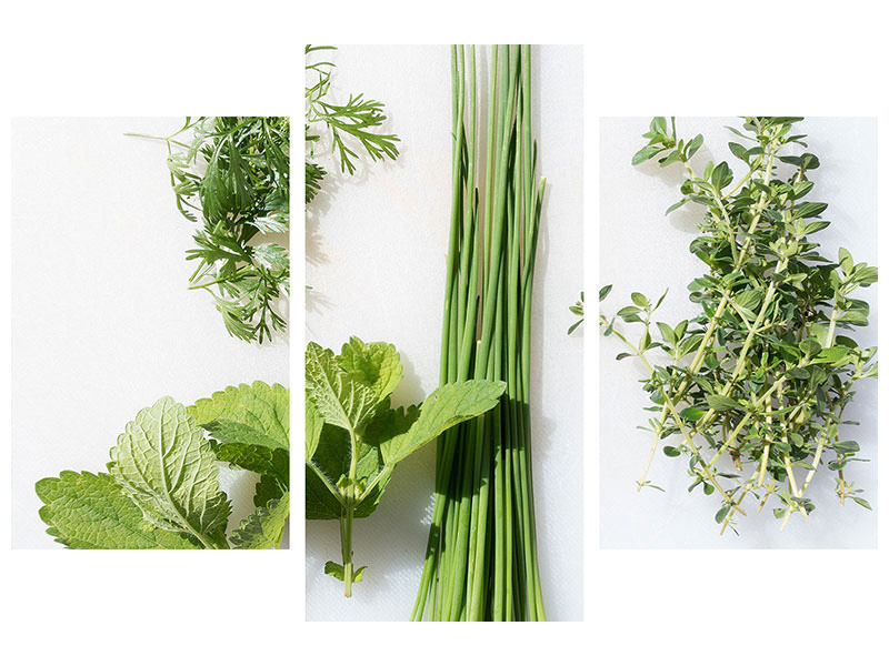 modern-3-piece-canvas-print-fresh-herbs