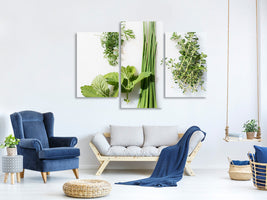 modern-3-piece-canvas-print-fresh-herbs