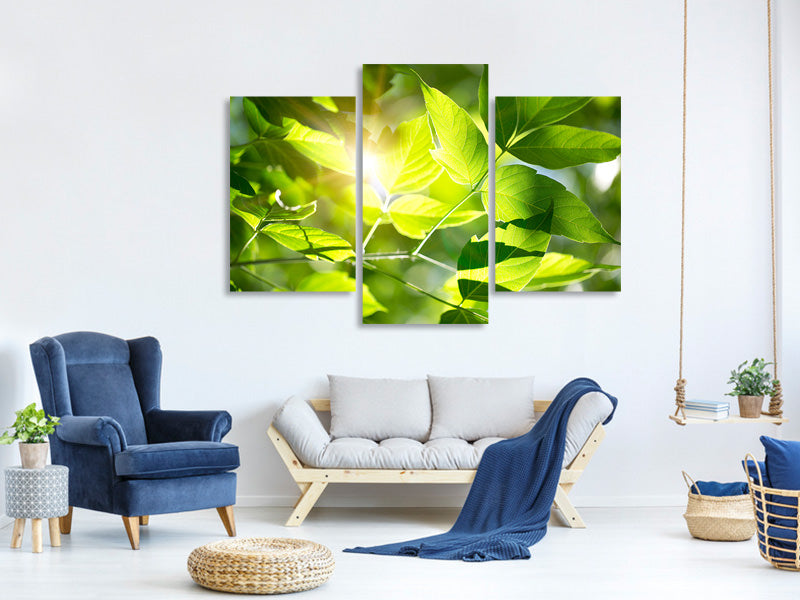 modern-3-piece-canvas-print-go-green