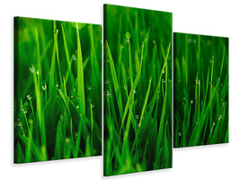 modern-3-piece-canvas-print-grass-with-morning-dew