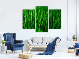 modern-3-piece-canvas-print-grass-with-morning-dew