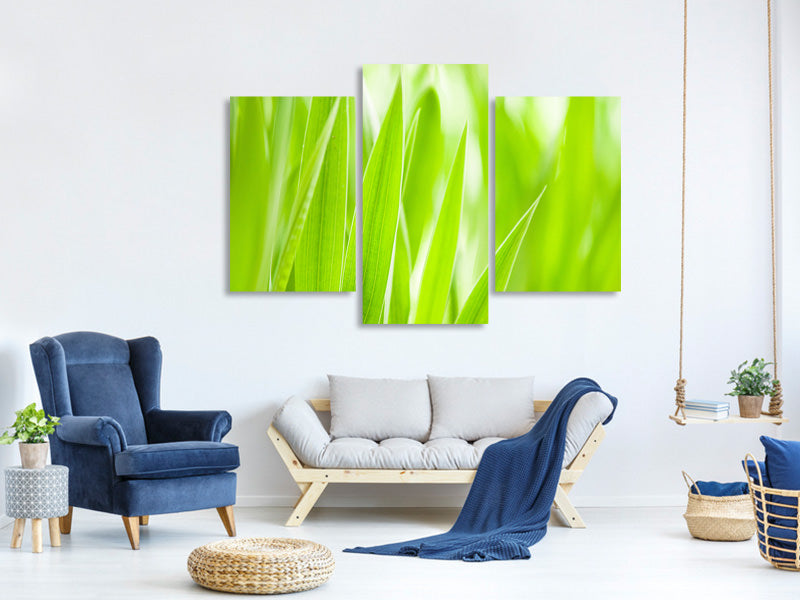 modern-3-piece-canvas-print-grass-xxl