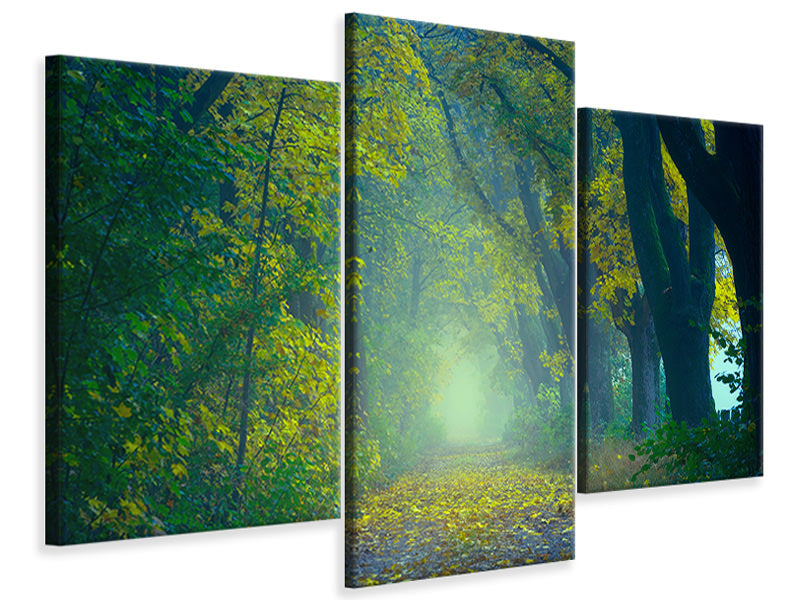 modern-3-piece-canvas-print-green-forest