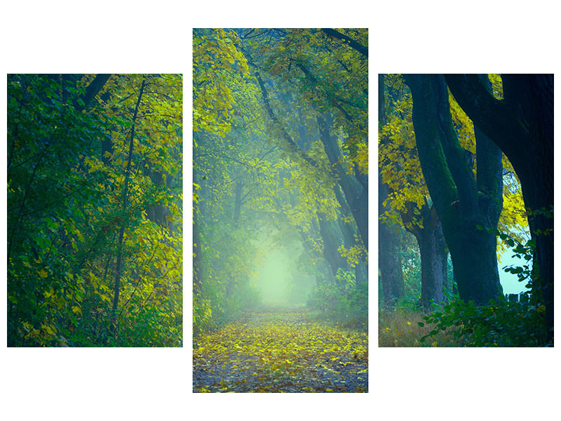 modern-3-piece-canvas-print-green-forest