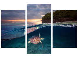 modern-3-piece-canvas-print-green-turtle-with-sunset