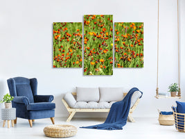 modern-3-piece-canvas-print-hawkweeds