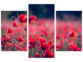 modern-3-piece-canvas-print-in-the-poppy-field