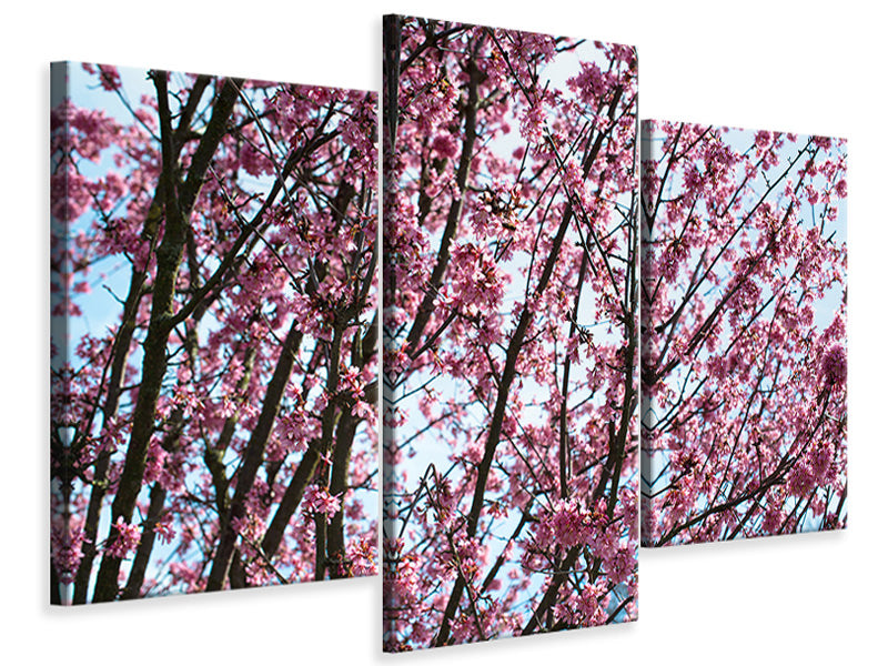 modern-3-piece-canvas-print-japanese-cherry-blossom