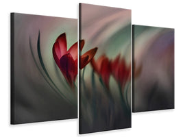 modern-3-piece-canvas-print-krokus