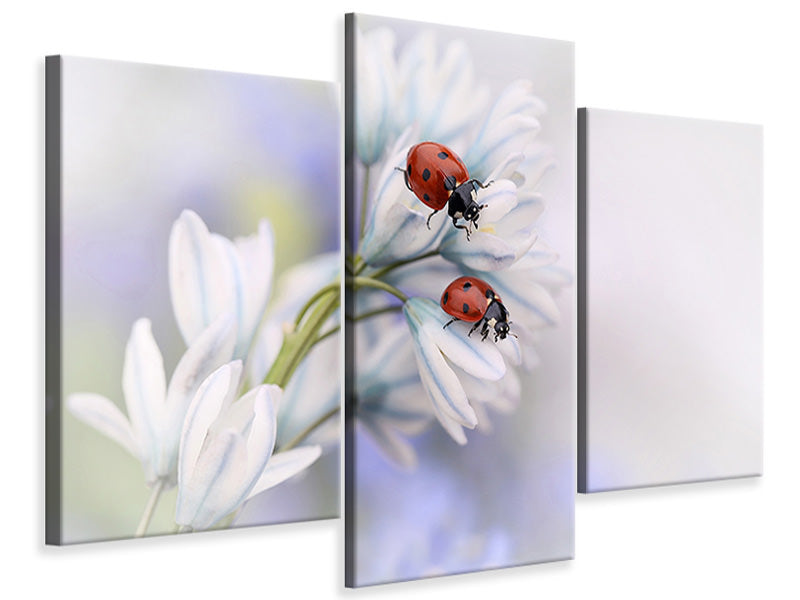 modern-3-piece-canvas-print-ladybirds