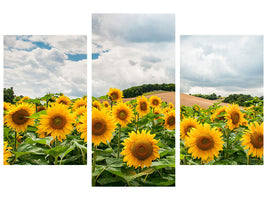 modern-3-piece-canvas-print-landscape-with-sunflowers