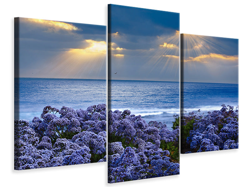 modern-3-piece-canvas-print-lavender-and-sea