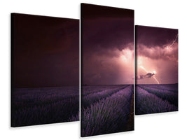 modern-3-piece-canvas-print-lavender-fragrance