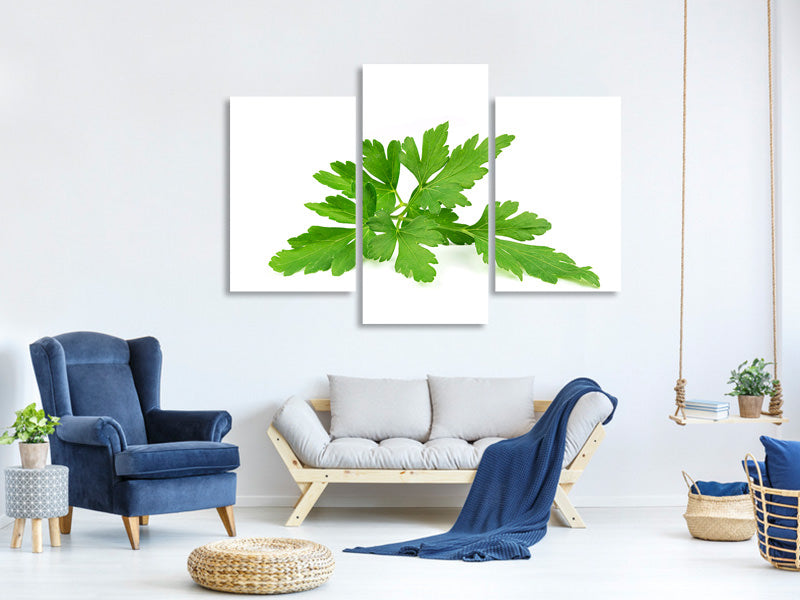 modern-3-piece-canvas-print-leaves-of-parsley