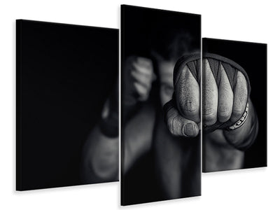 modern-3-piece-canvas-print-left-wing