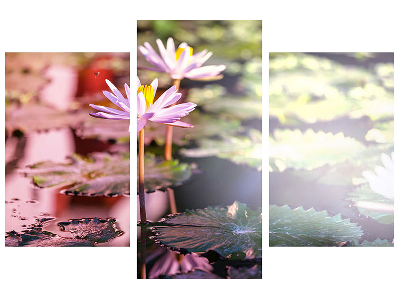 modern-3-piece-canvas-print-lilies-in-pond