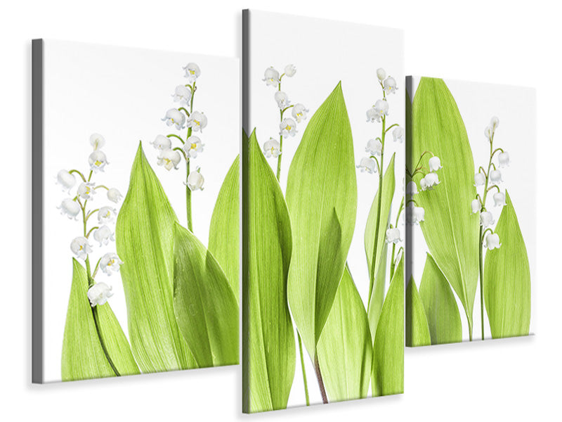 modern-3-piece-canvas-print-lily-of-the-valley