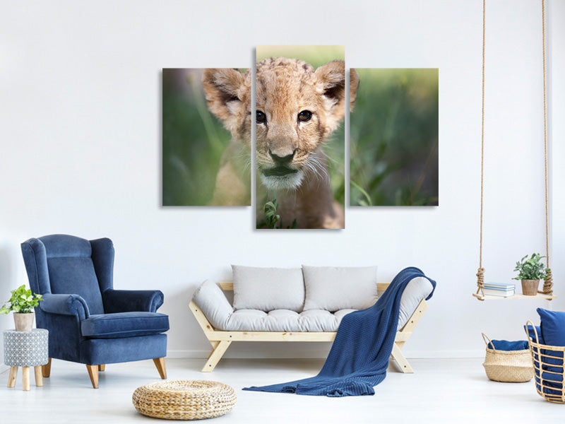 modern-3-piece-canvas-print-lion-baby