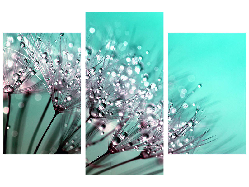 modern-3-piece-canvas-print-macro-dandelion-p