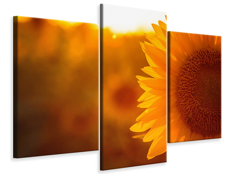 modern-3-piece-canvas-print-macro-sunflower