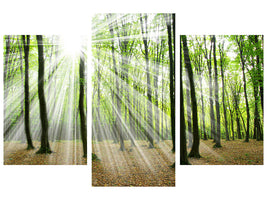 modern-3-piece-canvas-print-magic-light-in-the-trees