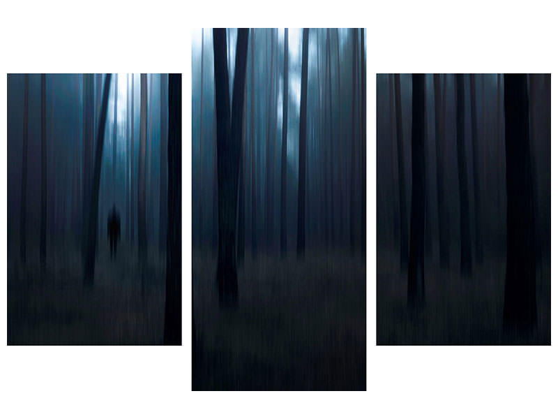 modern-3-piece-canvas-print-man-in-the-forest