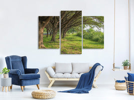 modern-3-piece-canvas-print-mature-trees