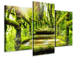 modern-3-piece-canvas-print-moss