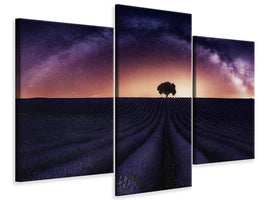 modern-3-piece-canvas-print-my-lavander