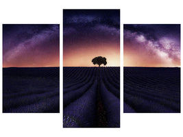 modern-3-piece-canvas-print-my-lavander