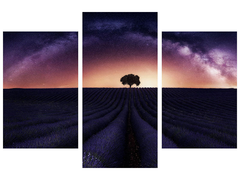 modern-3-piece-canvas-print-my-lavander