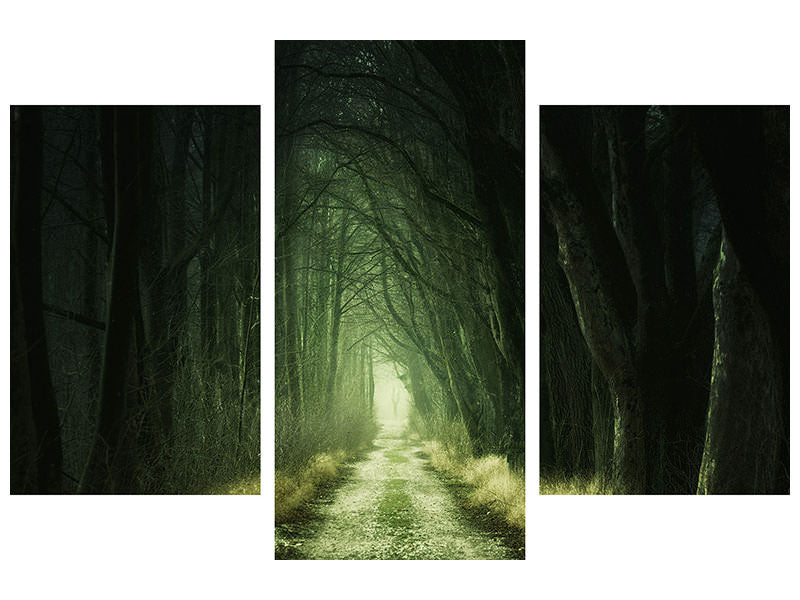 modern-3-piece-canvas-print-mysterious-forest-iii