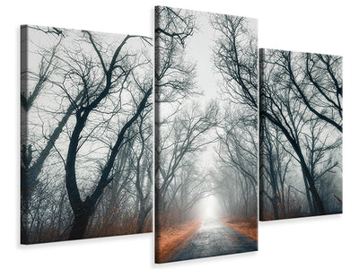 modern-3-piece-canvas-print-mysterious-mood-in-the-forest