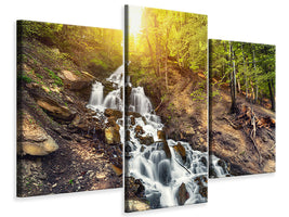 modern-3-piece-canvas-print-natural-beauty